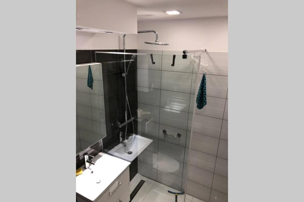 Apartament Sikornik Gliwice Exterior foto